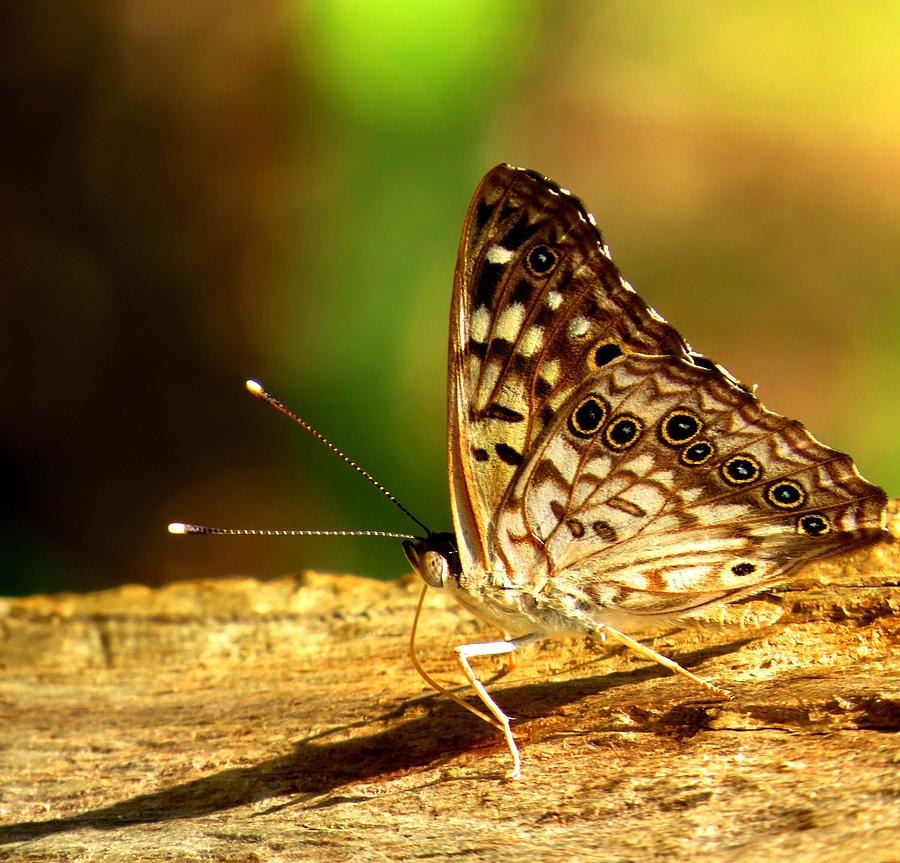 How Tired am&nbsp;I?