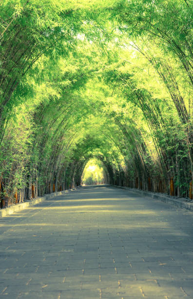 Gazing On Green Growing&nbsp;Things