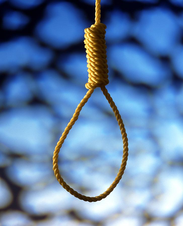 Haiku: bin givin you plenty a&nbsp;rope