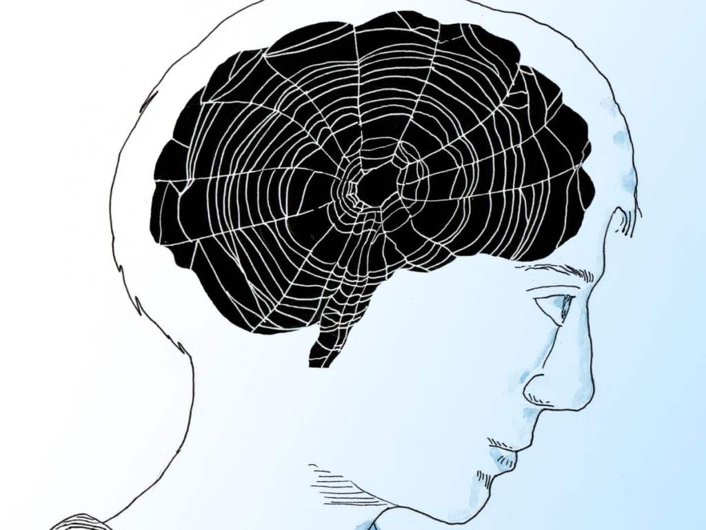 In and Out of Her&nbsp;Web