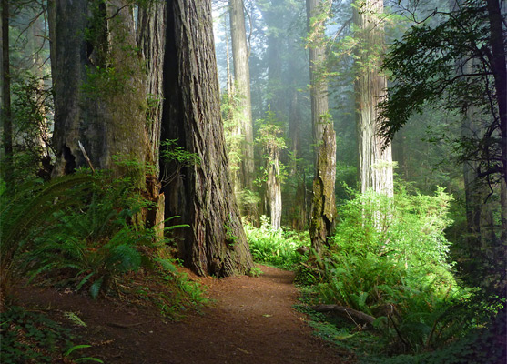 The Beauties of This&nbsp;Day