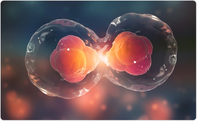 Worth Rerunning: “There Will Be a Separation”