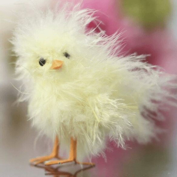 Visions of Nova Terra Too: Mama Gaia’s Adorable&nbsp;Fledglings