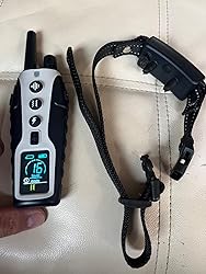 Low Rent Lifestyle: Shock&nbsp;Collar