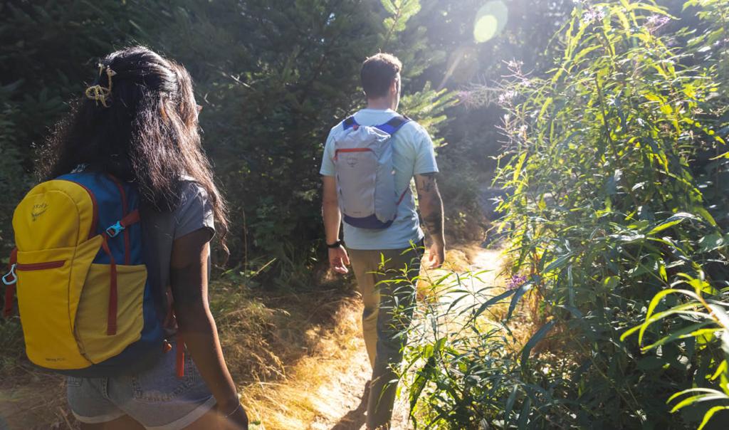 Visions of Nova Terra XVI ~&nbsp;Wanderlust