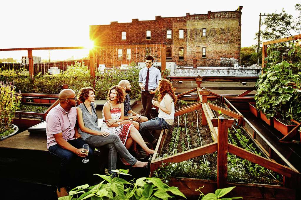 Visions of Nova Terra VI ~ Everybody’s&nbsp;Garden