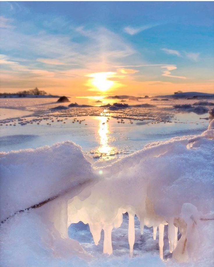 A Poet May Very Well&nbsp;Be