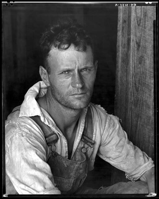 The Writing of ‘Words of Will the Woodworker’