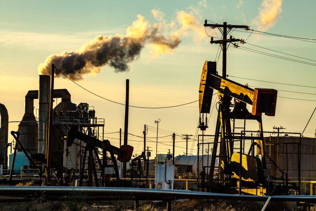 What Purpose Beauty?