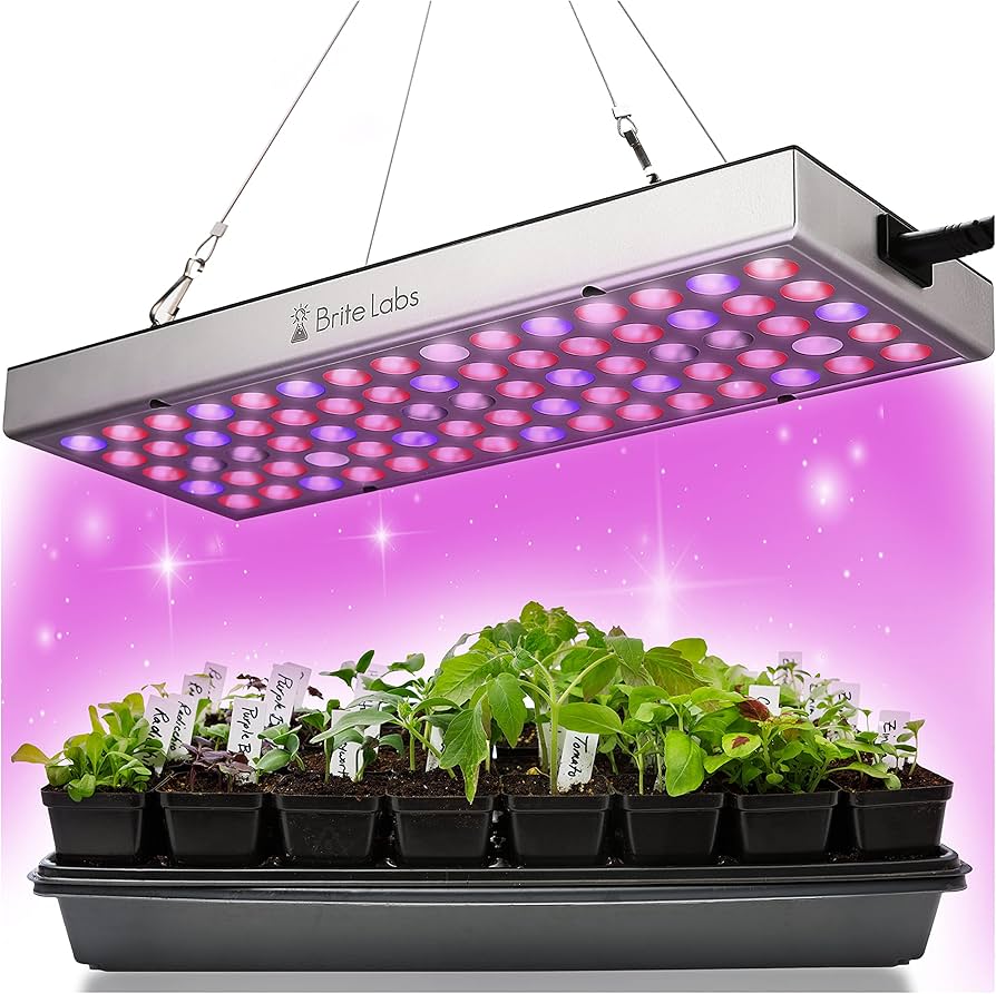 Grow Light