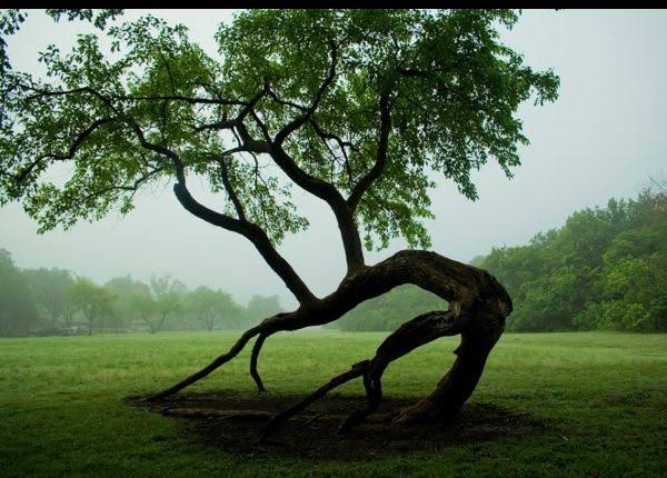 Efforts Have Lifespans