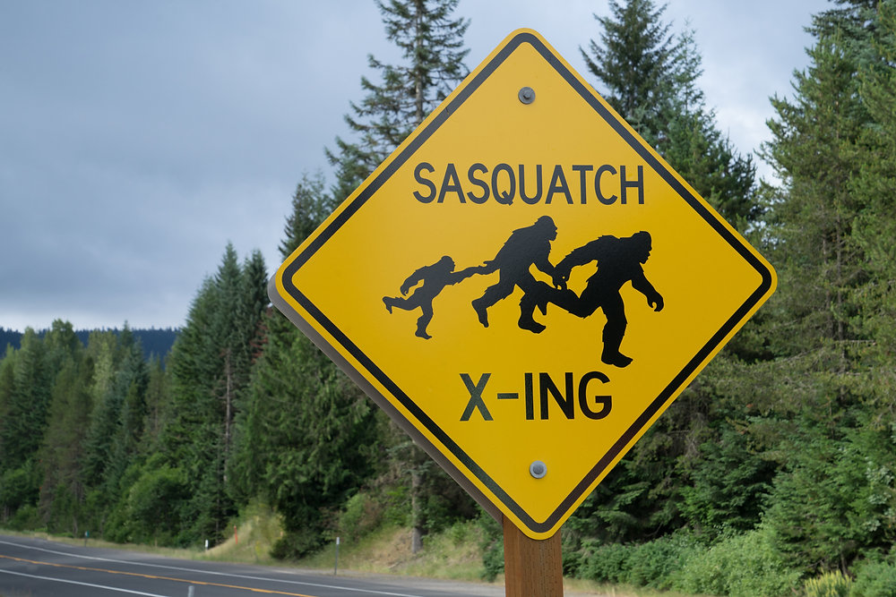 Wisdom of the&nbsp;Sasquatch